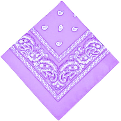 Unisex  Paisley Pattern 100% Cotton Bandana Head or Neck Scarf