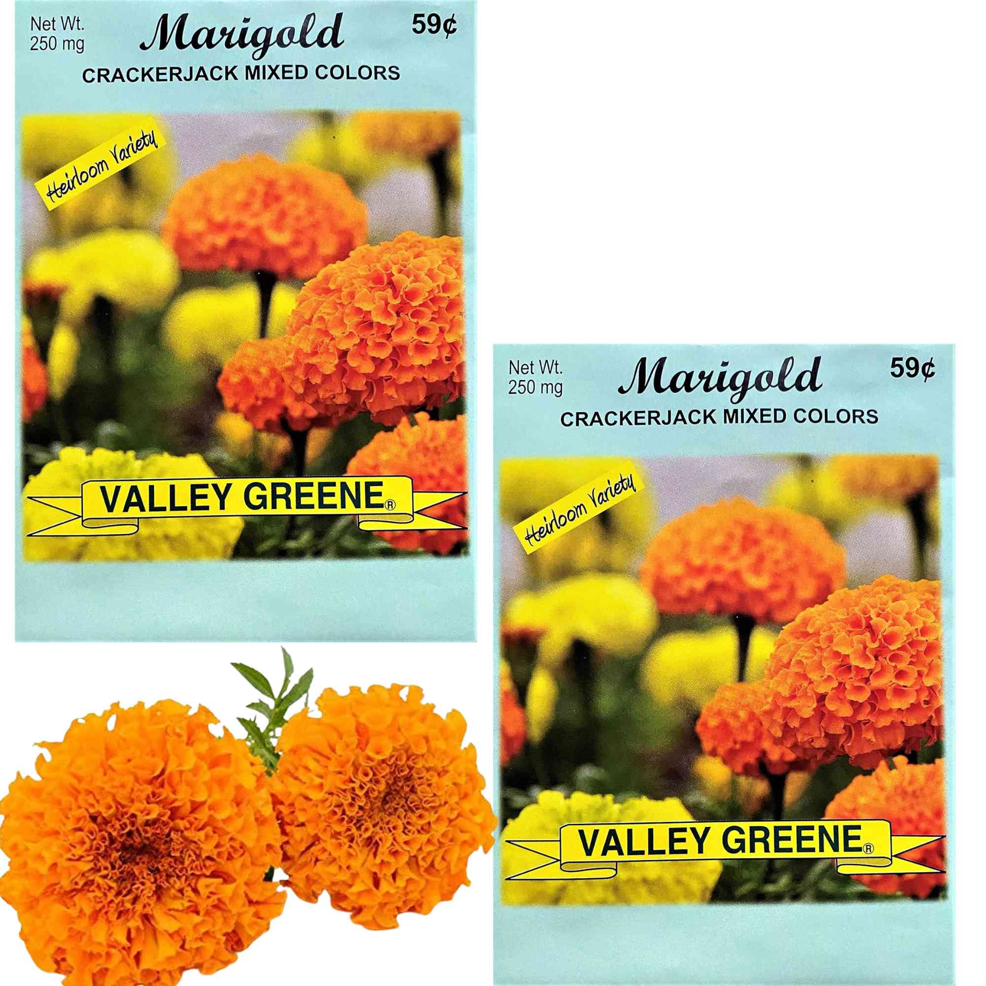Valley Greene 250mg Marigold Seeds Crackerjack Mixed Colors: 2 Pack main product image