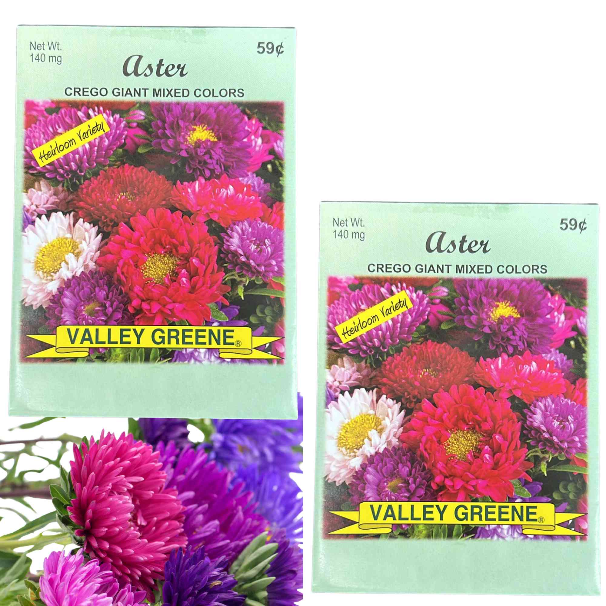 Valley Greene 140mg Aster Crego Giant Mixed Colors: 2 Pack Seeds main product image