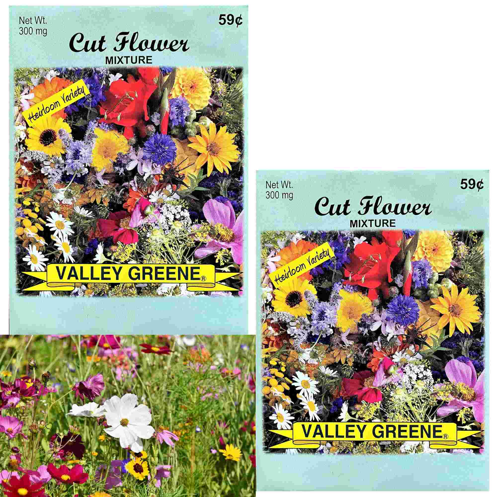 Valley Greene 300mg Cut Flower Seed Mixture Seeds: 2 Pack main product image