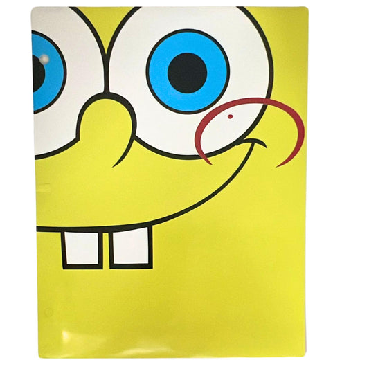 Nickelodeon  Pocket File Folders