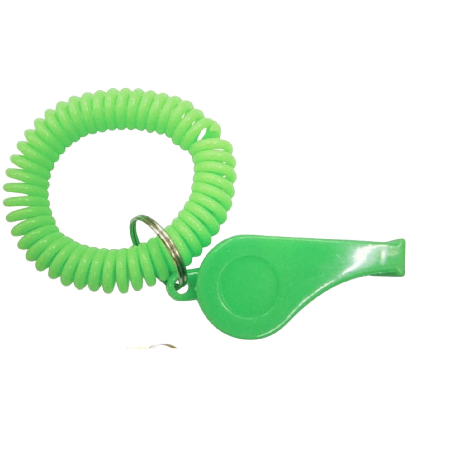 Spiral Wrist Coil Keychain with Steel Key Ring
