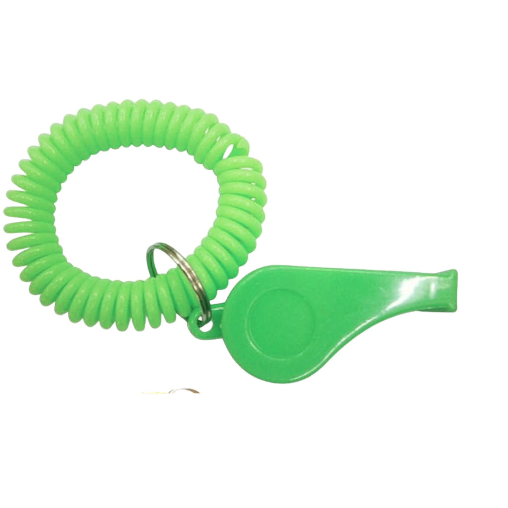 Spiral Wrist Coil Keychain with Steel Key Ring