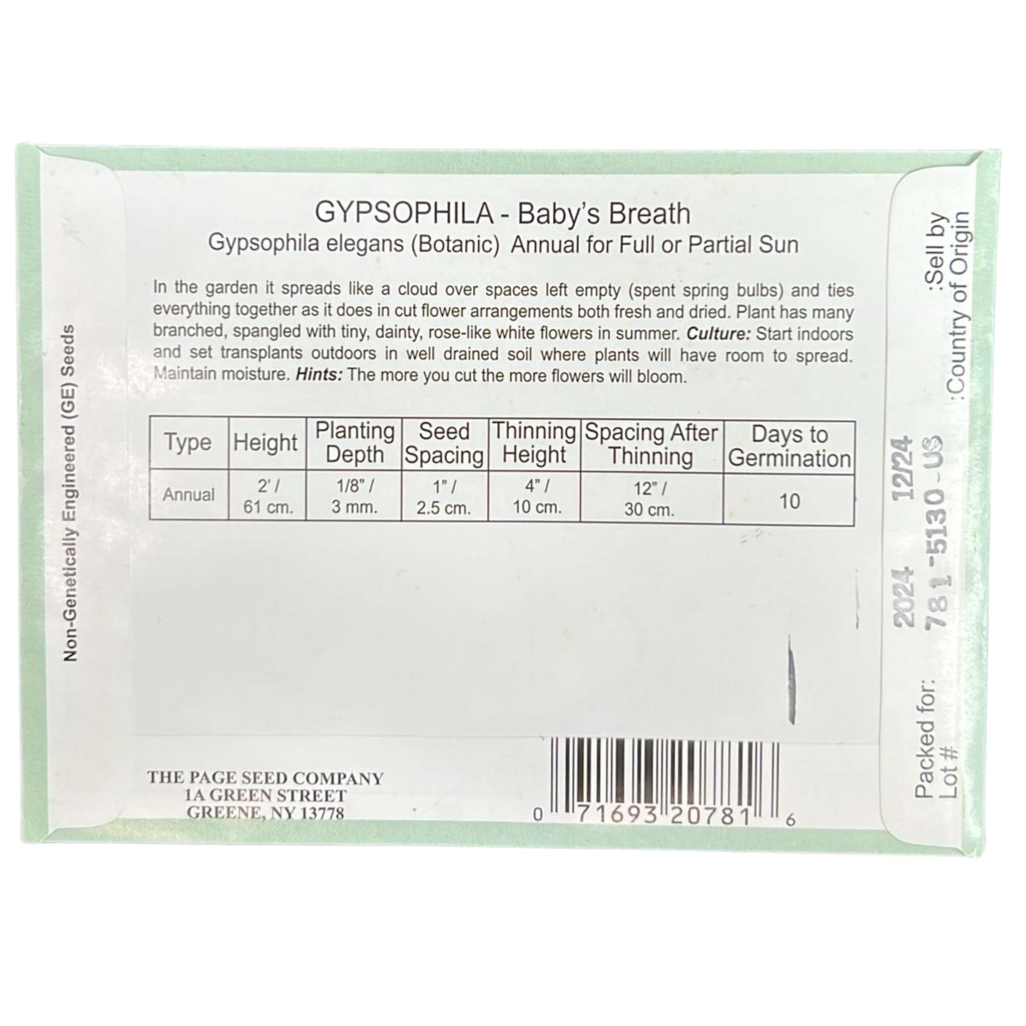 Valley Greene 200mg Gypsophila Baby's Breath Seeds: 2 Pack size and feature image