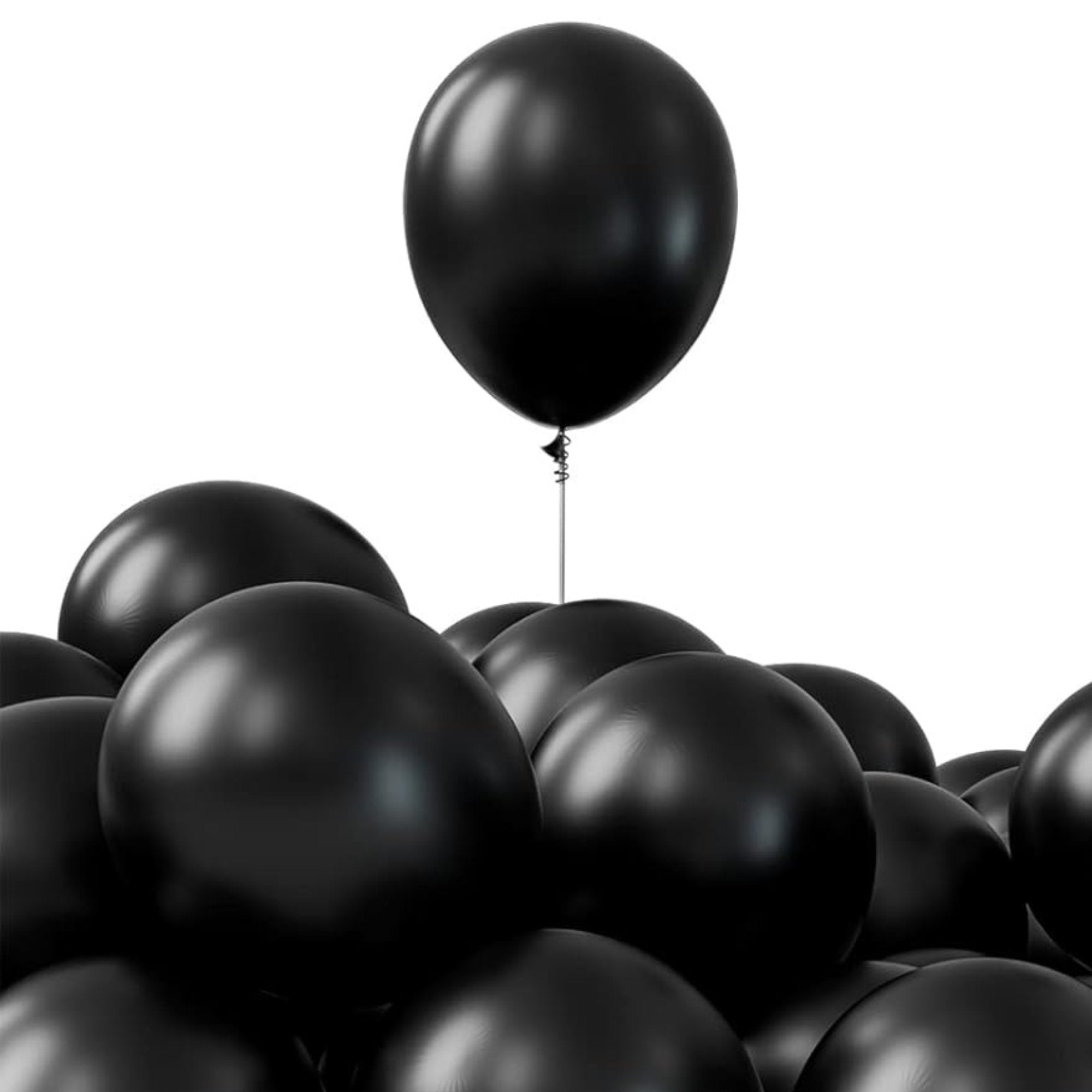 12" Helium Quality Natural Latex Balloons Black 10 Pack Balloon Halloween Balloon main product image