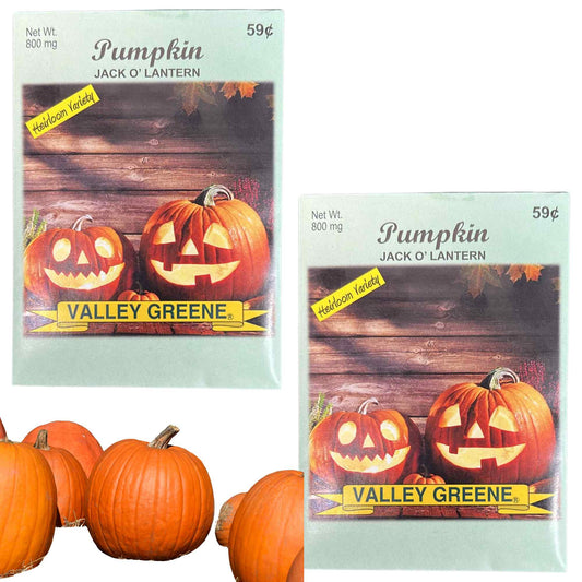 Valley Greene 800mg Pumpkin Seeds – Jack O'Lantern