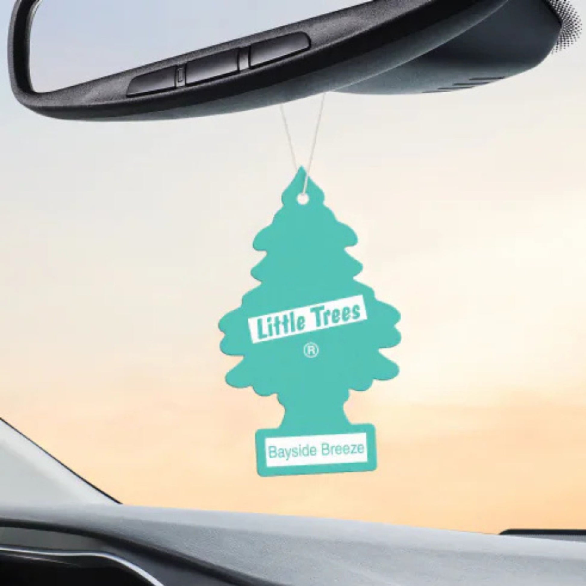 LITTLE TREES Hanging Car Air Freshener