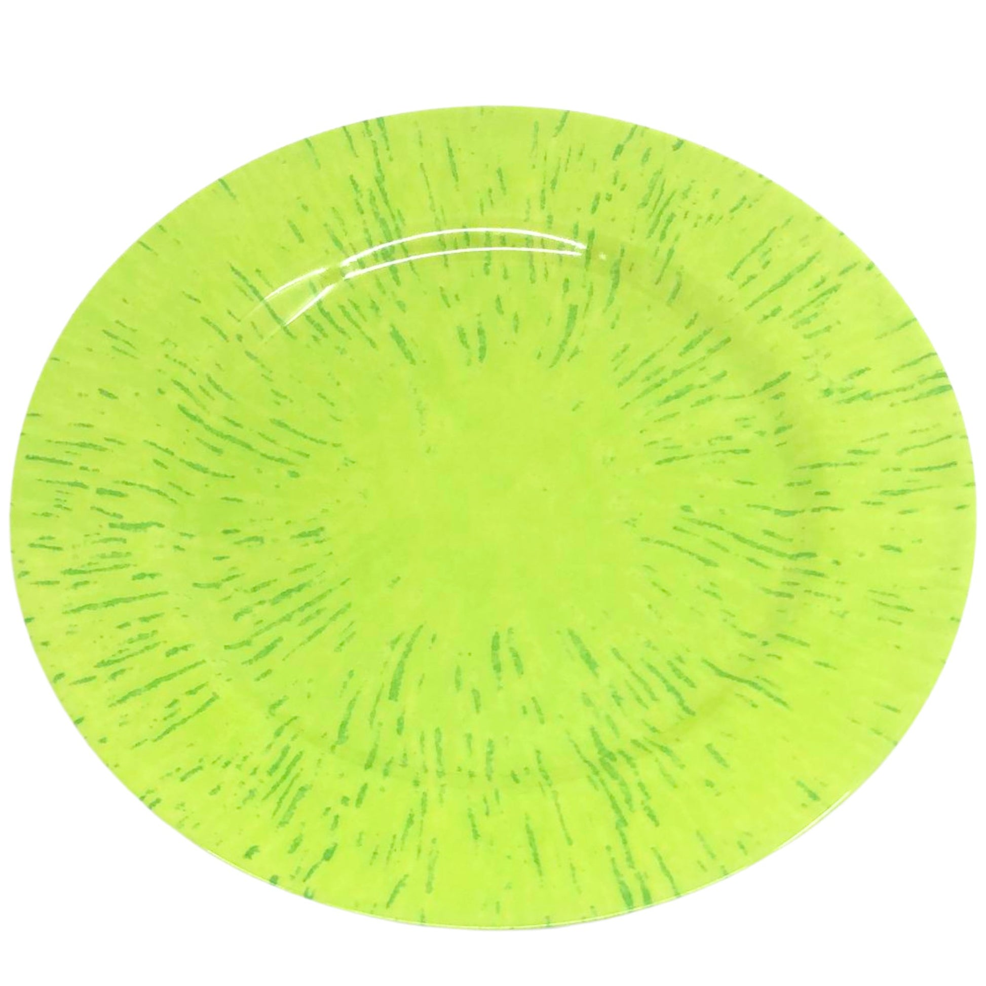  Durable Lightweight Melamine Dinner Plate