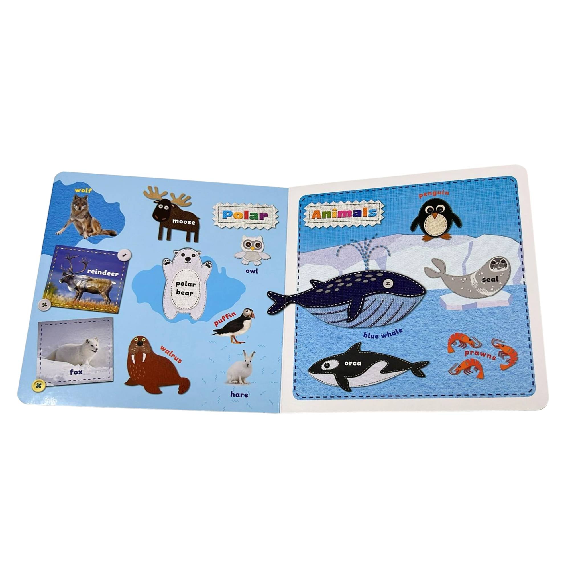 My First Animal Book for Kids – A Fun and Educational Animal Adventure Coloring Books & Pads product detail image