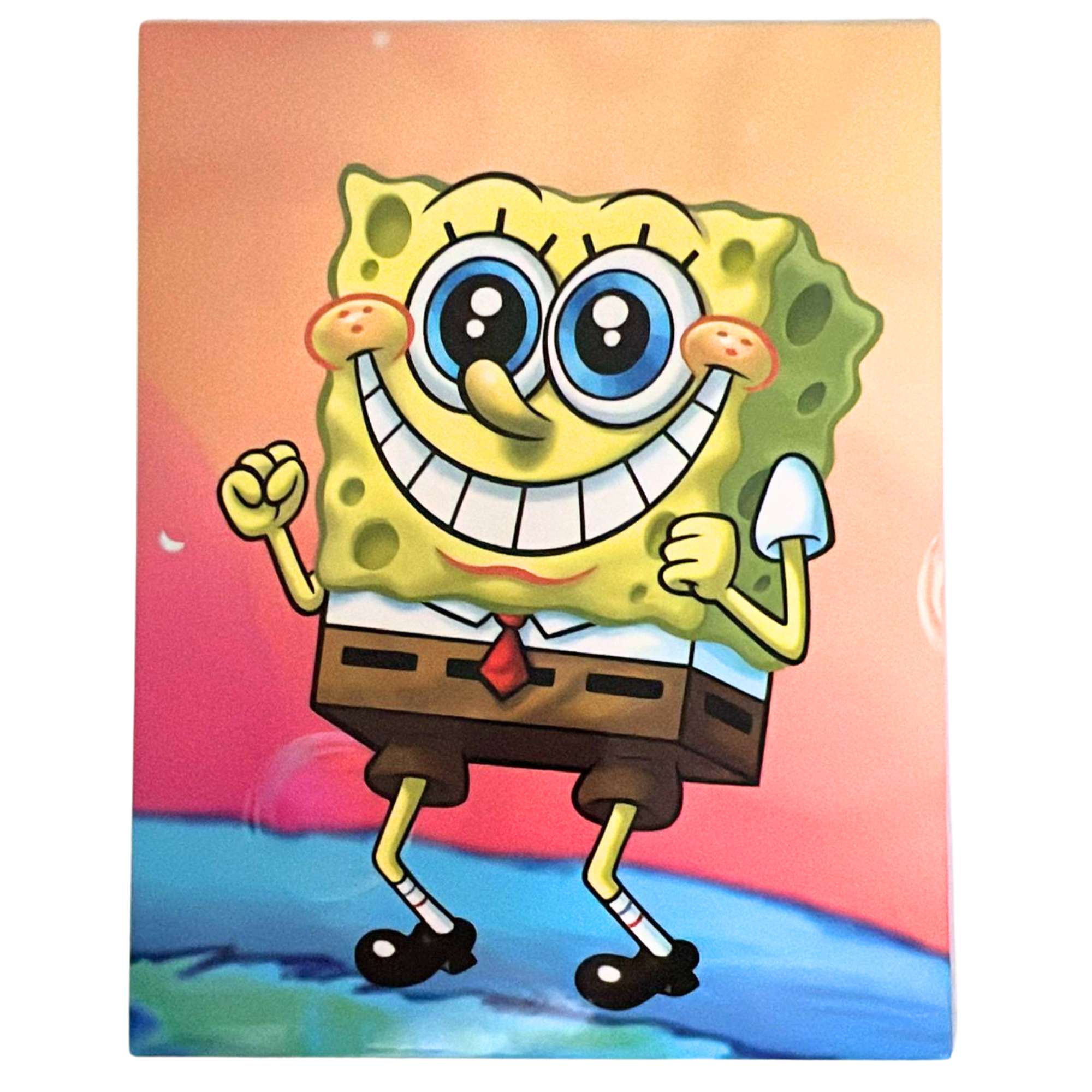 Sponge Bob 12"x9" Pocket File Folders: 1 Pack Pocket Folders main product image