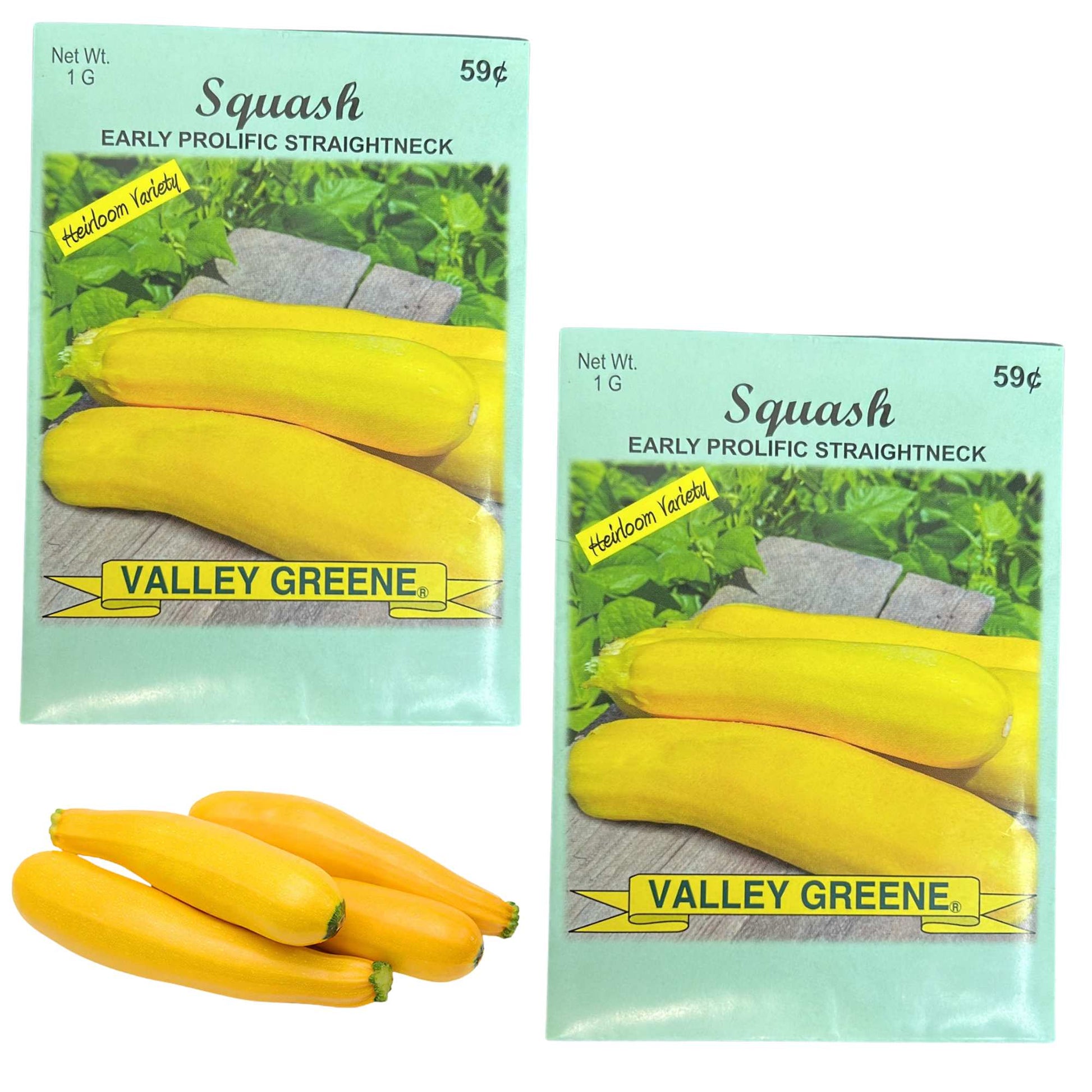 Valley Greene 1g Squash Early Prolific Straightneck Seeds
