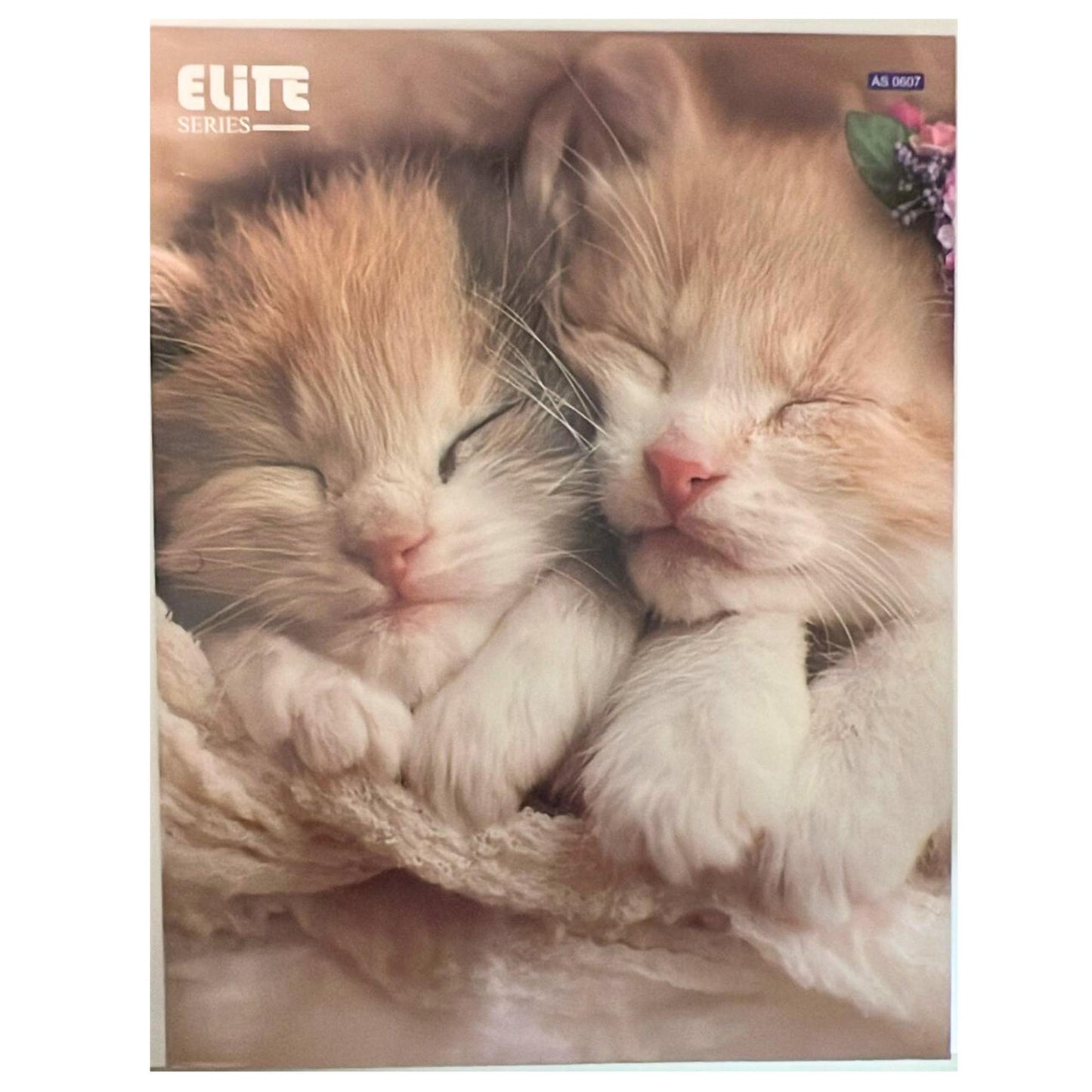 Pocket File Folders with Animal Prints