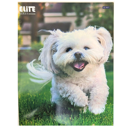 Pocket File Folders with Animal Prints