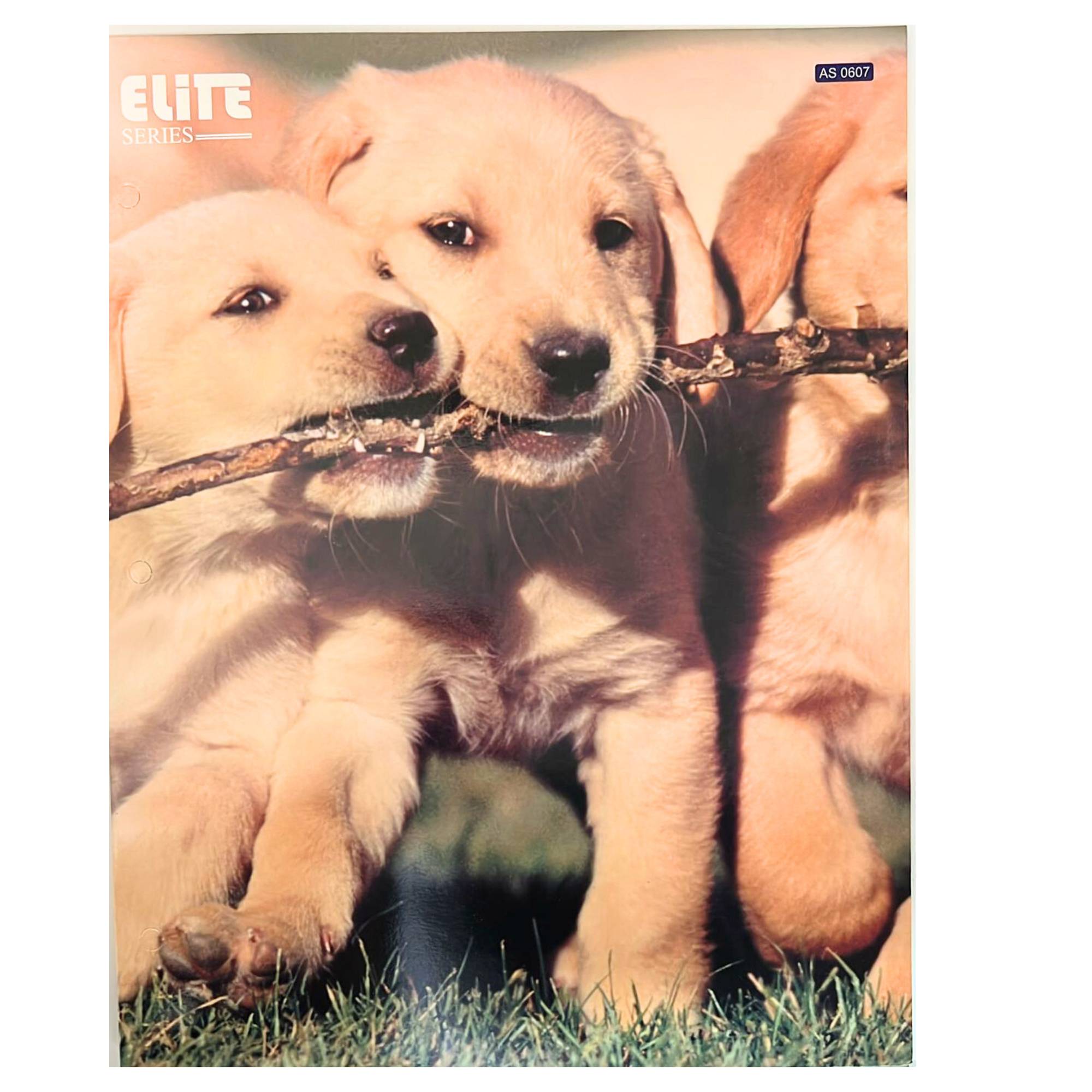 12"x9" Pocket File Folders with Animal Prints: 1 Pack product image 11