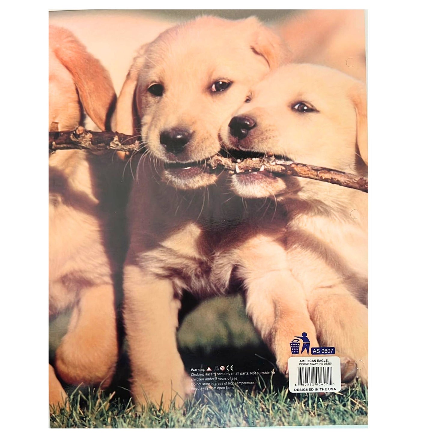 Pocket File Folders with Animal Prints