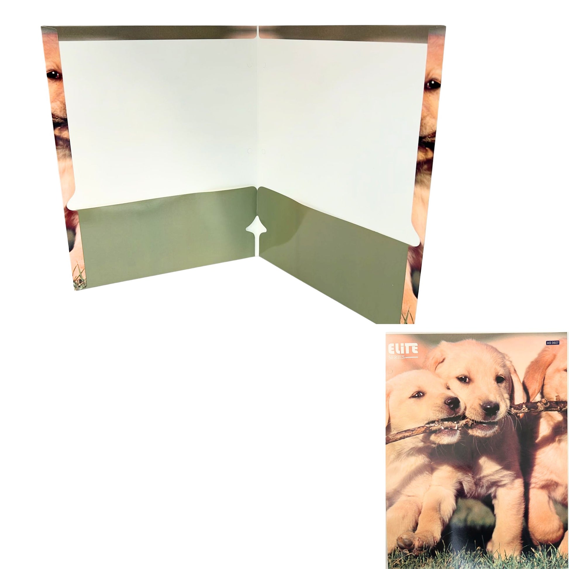 Pocket File Folders with Animal Prints