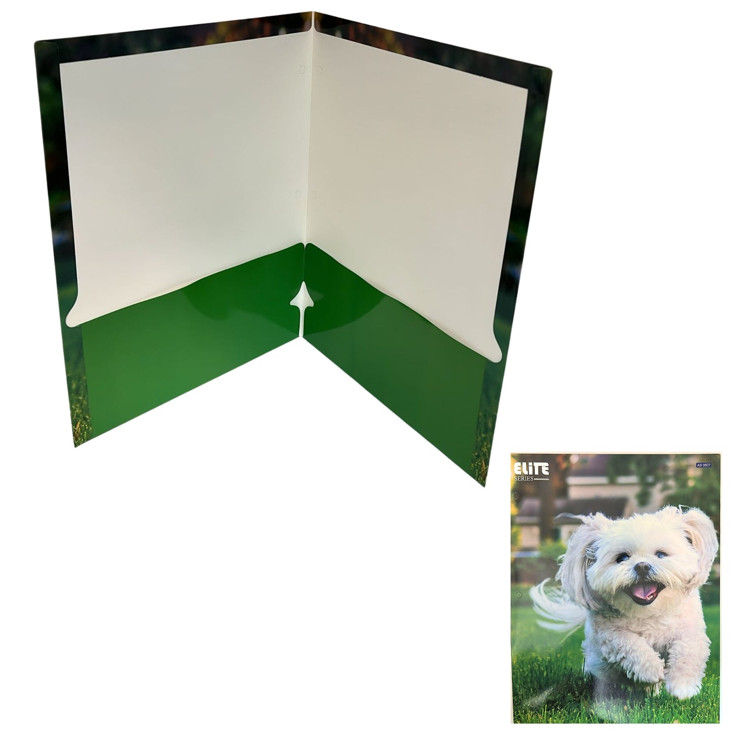 Pocket File Folders with Animal Prints