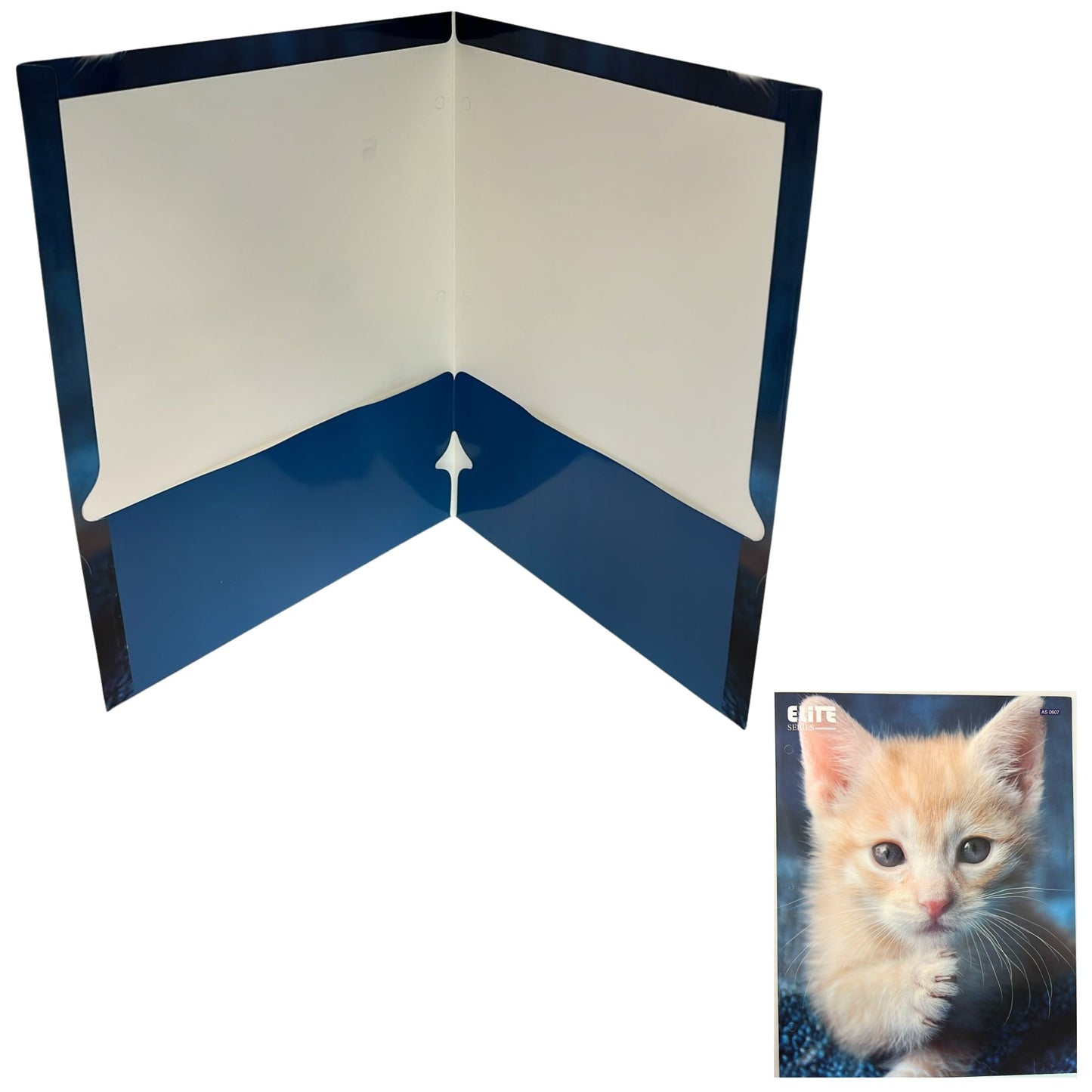 Pocket File Folders with Animal Prints