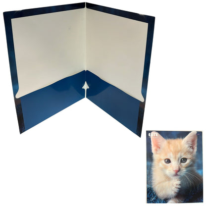 Pocket File Folders with Animal Prints