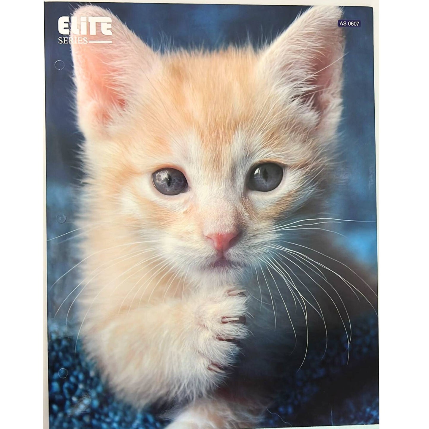 Pocket File Folders with Animal Prints