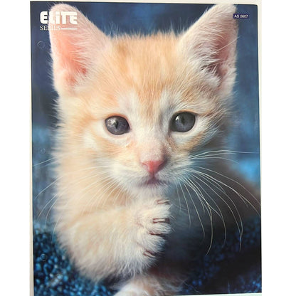 Pocket File Folders with Animal Prints