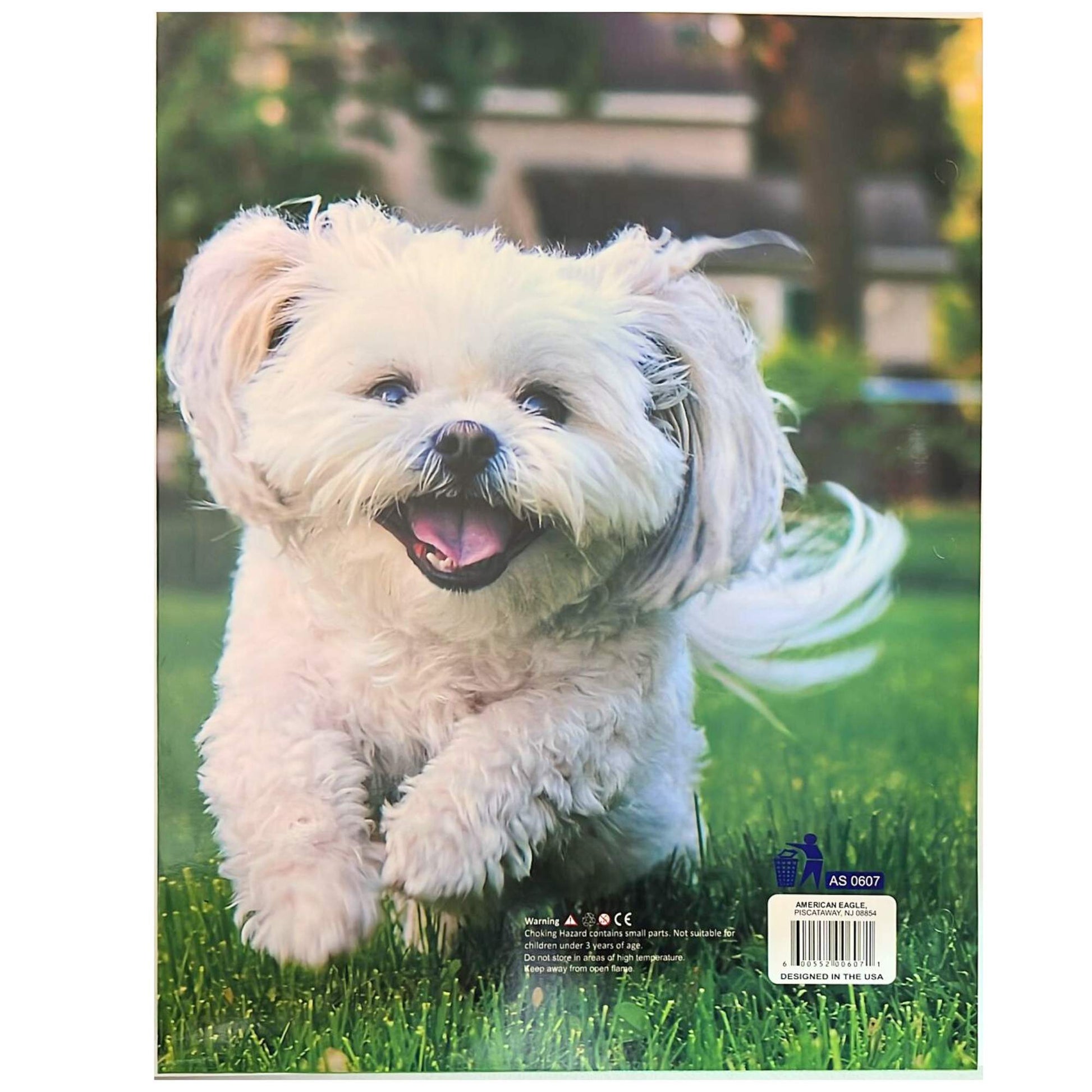 Pocket File Folders with Animal Prints