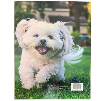 Pocket File Folders with Animal Prints