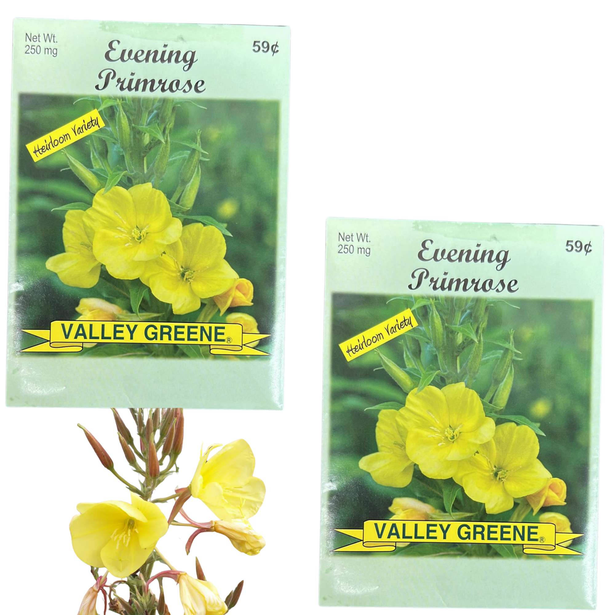 Valley Greene 250mg Evening Primrose Seeds: 2 Pack main product image
