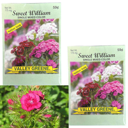 Valley Greene 175mg Sweet William Seeds–Single Color