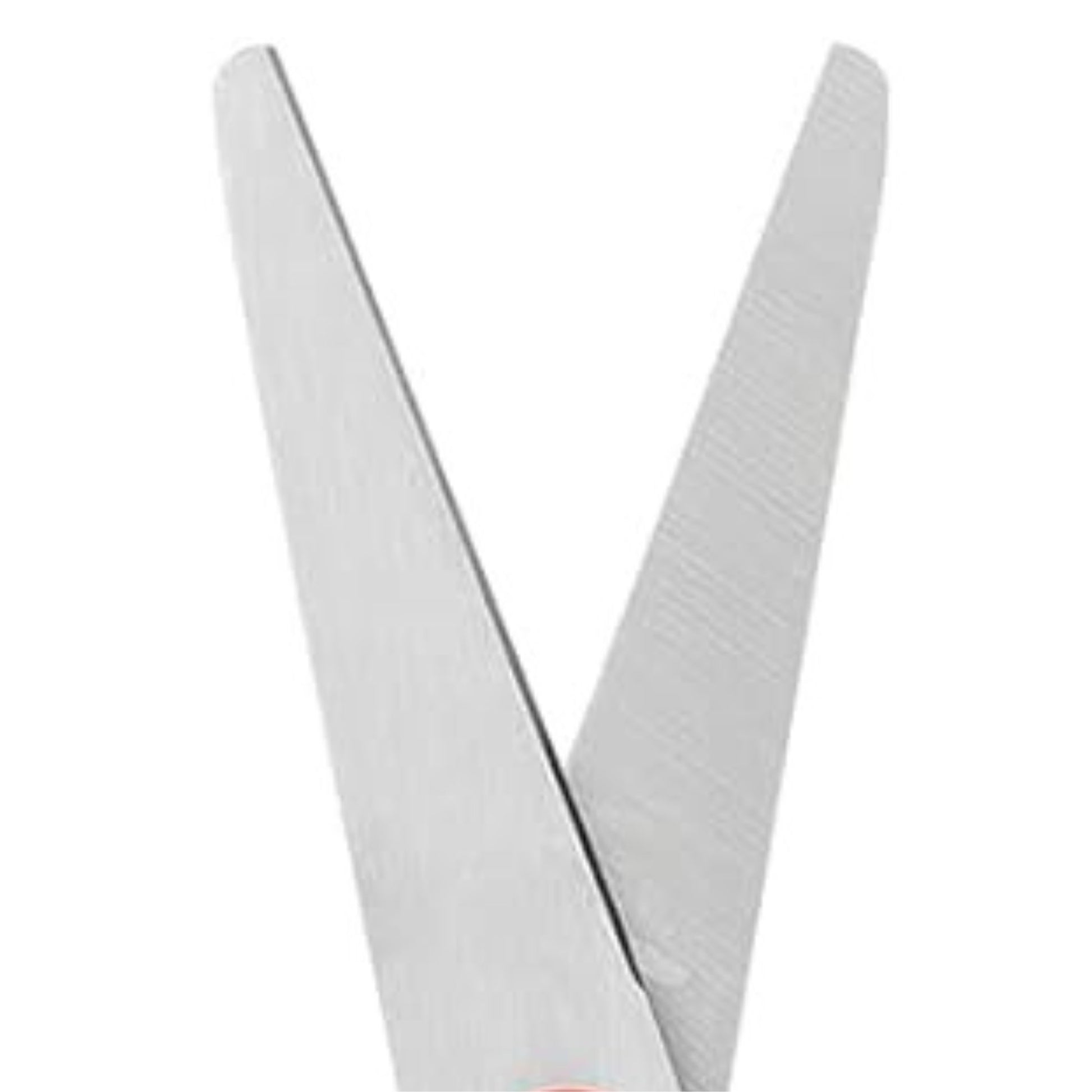 Stainless Blunt Tip Scissors with Color Rubber Grip Handle