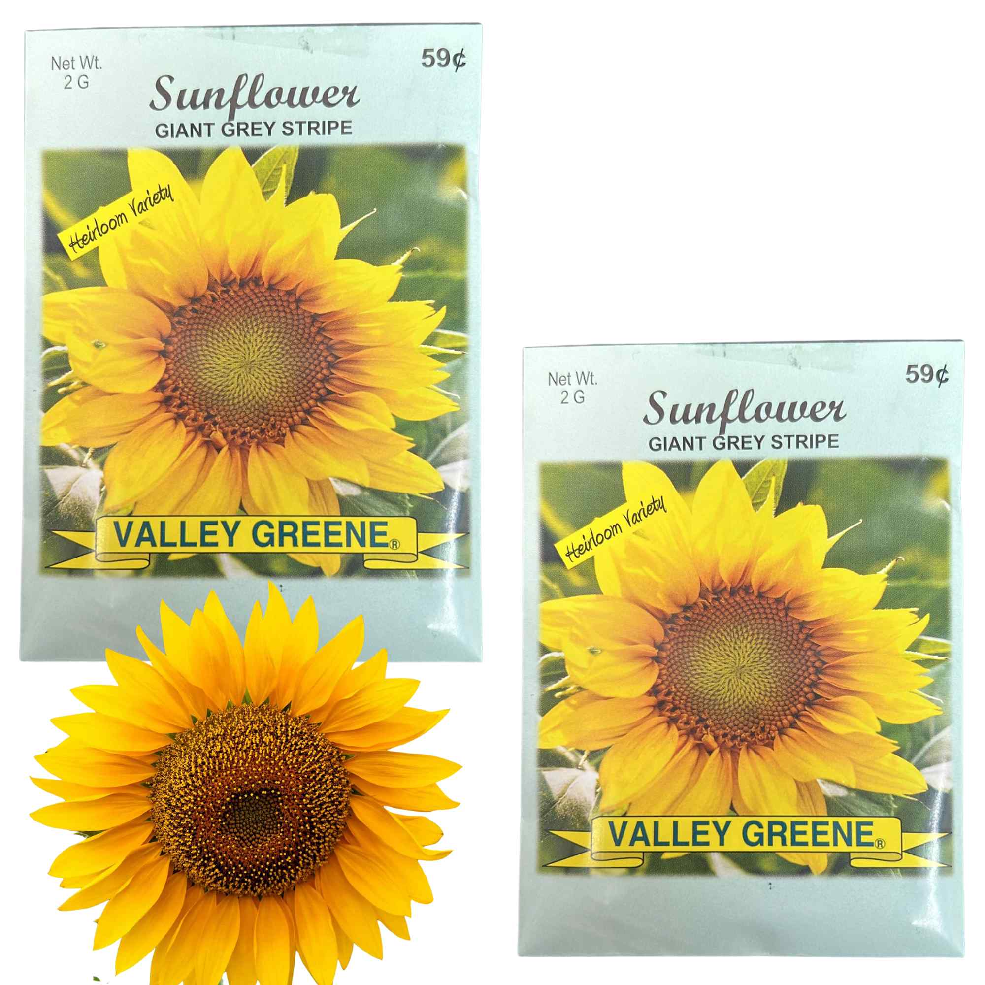 Valley Greene 2g Sunflower Seeds–Giant Grey Stripe: 2 Pack main product image