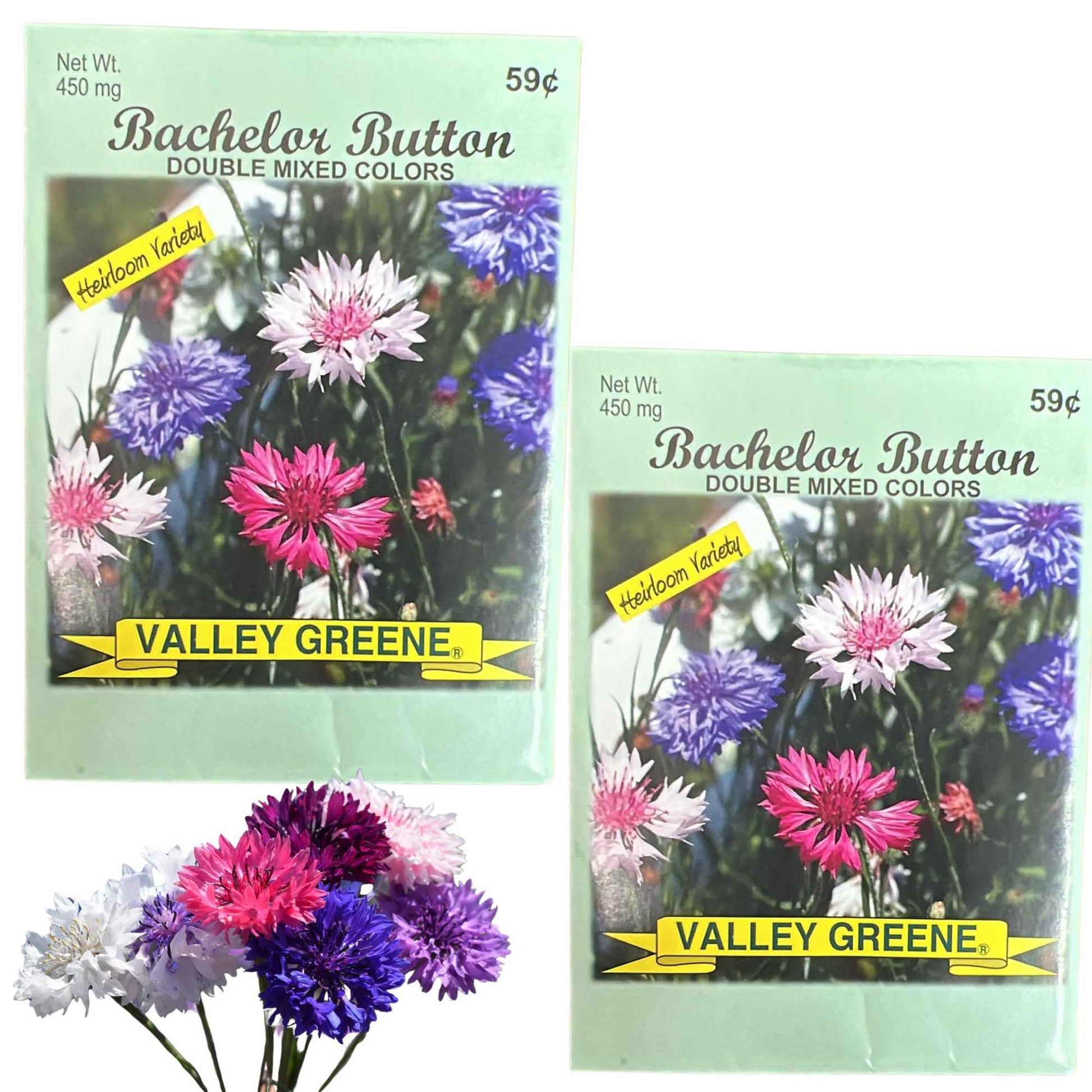 Valley Greene  Bachelor Button Seeds