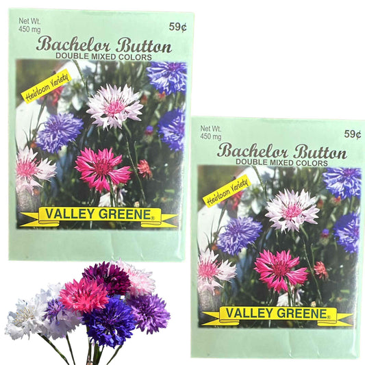 Valley Greene  Bachelor Button Seeds