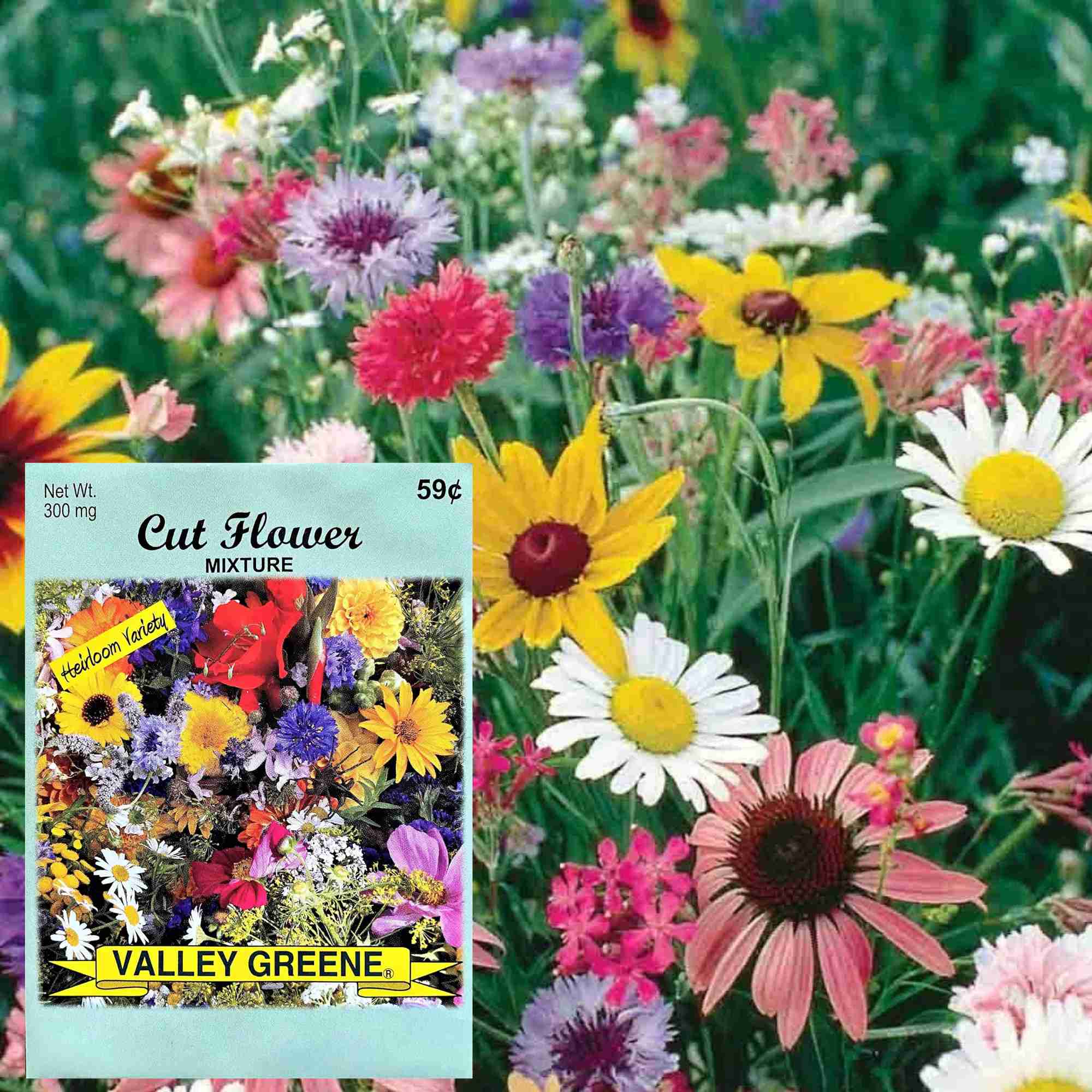 Valley Greene 300mg Cut Flower Seed Mixture Seeds: 2 Pack product detail image