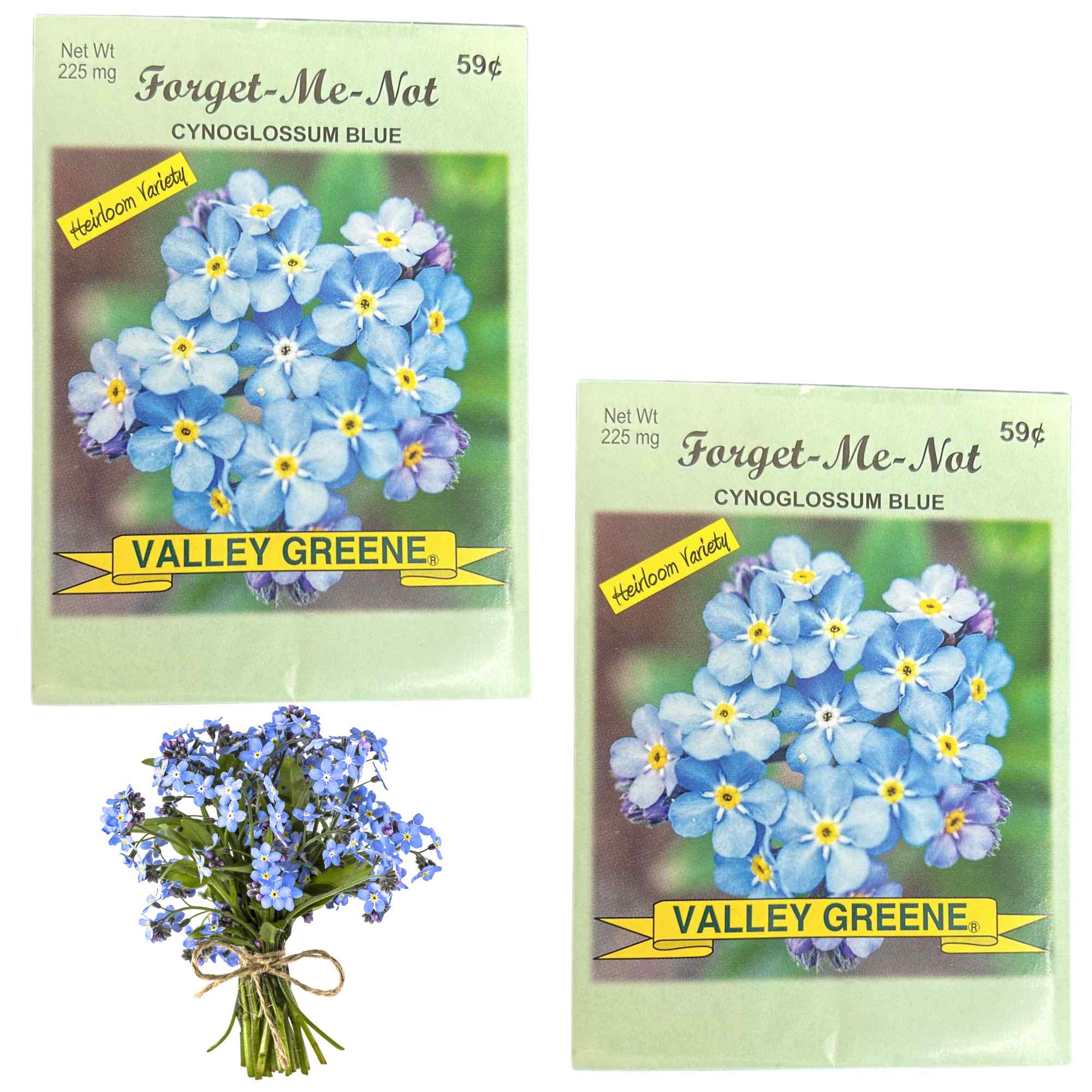 Valley Greene 225mg Forget Me Not Blue Flower Seeds: 2 Pack main product image