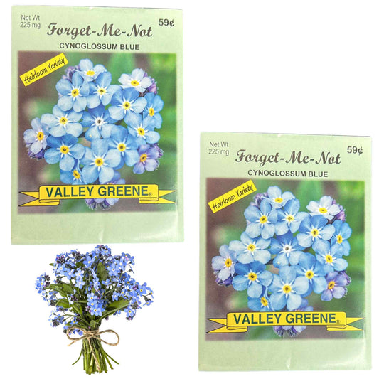 Valley Greene  Forget-Me-Not Blue Flower Seeds 