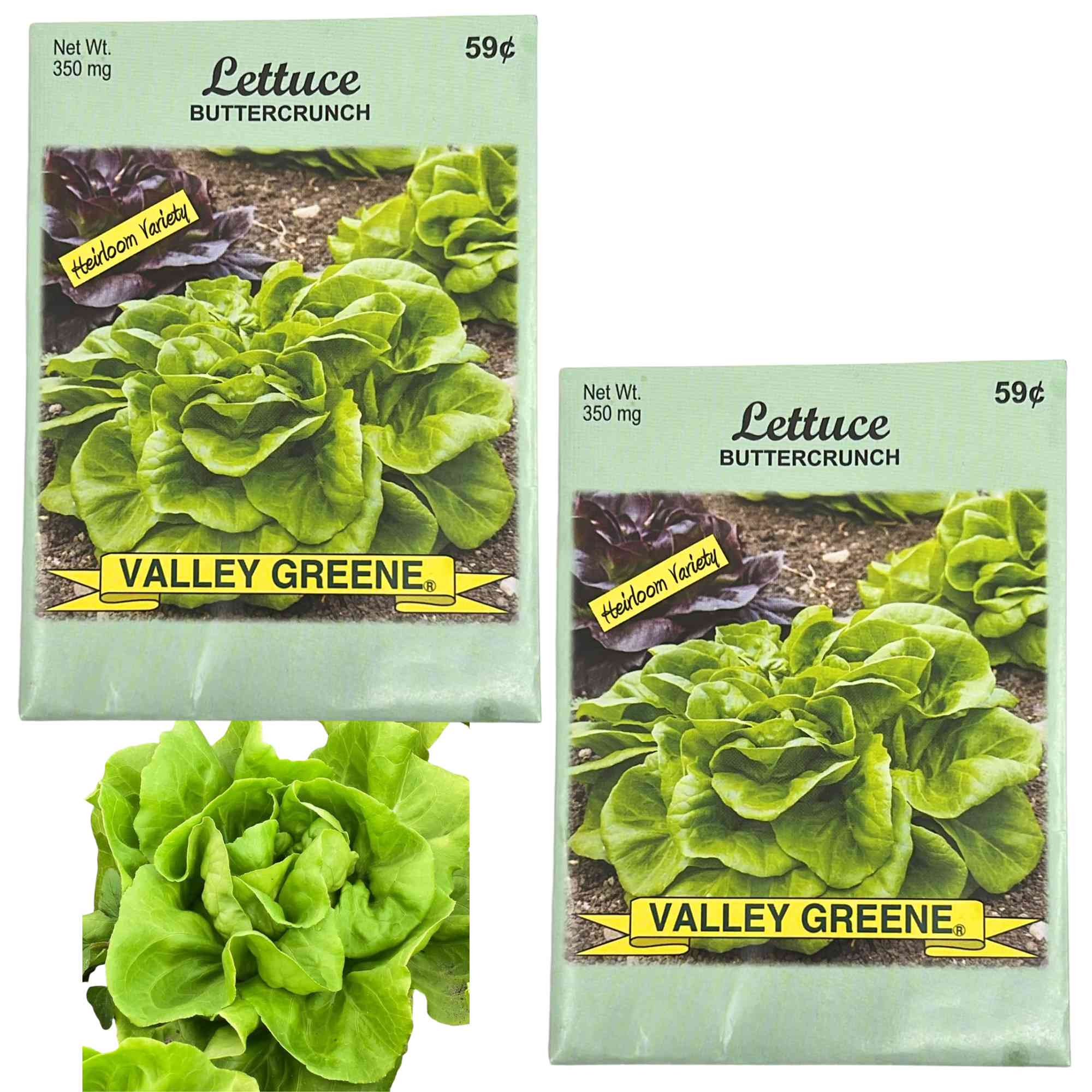 Valley Greene 350g Lettuce Buttercrunch Seeds: 2 Pack main product image