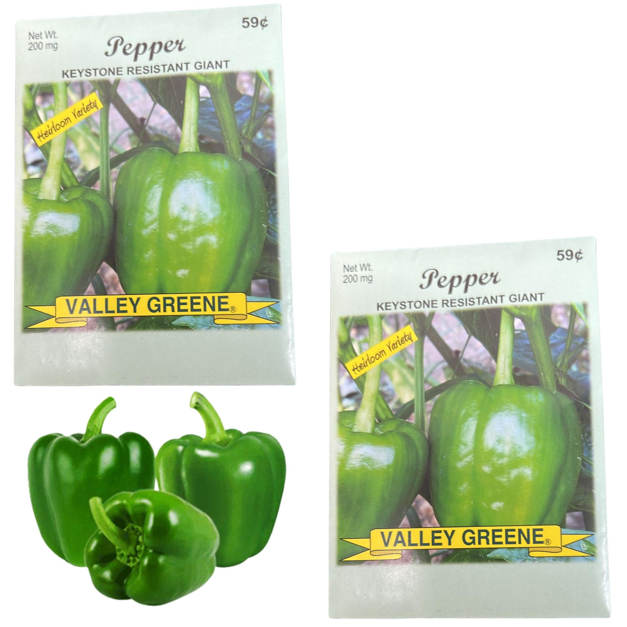 Valley Greene 200mg Pepper Keystone Resistant Giant:2 Pack Seeds main product image