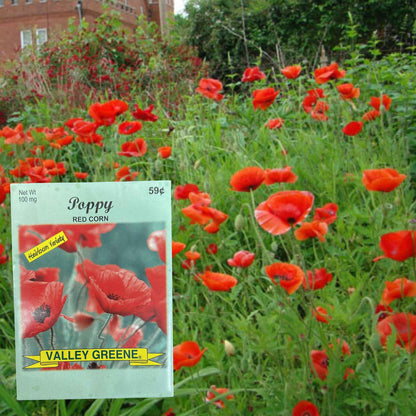 Valley Greene 100mg Red Corn Poppy Seeds 