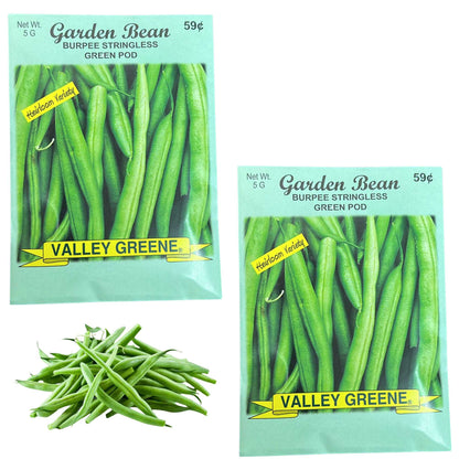 Valley Greene 5G Garden Bean Burpee Stringless Green Pod Seed 