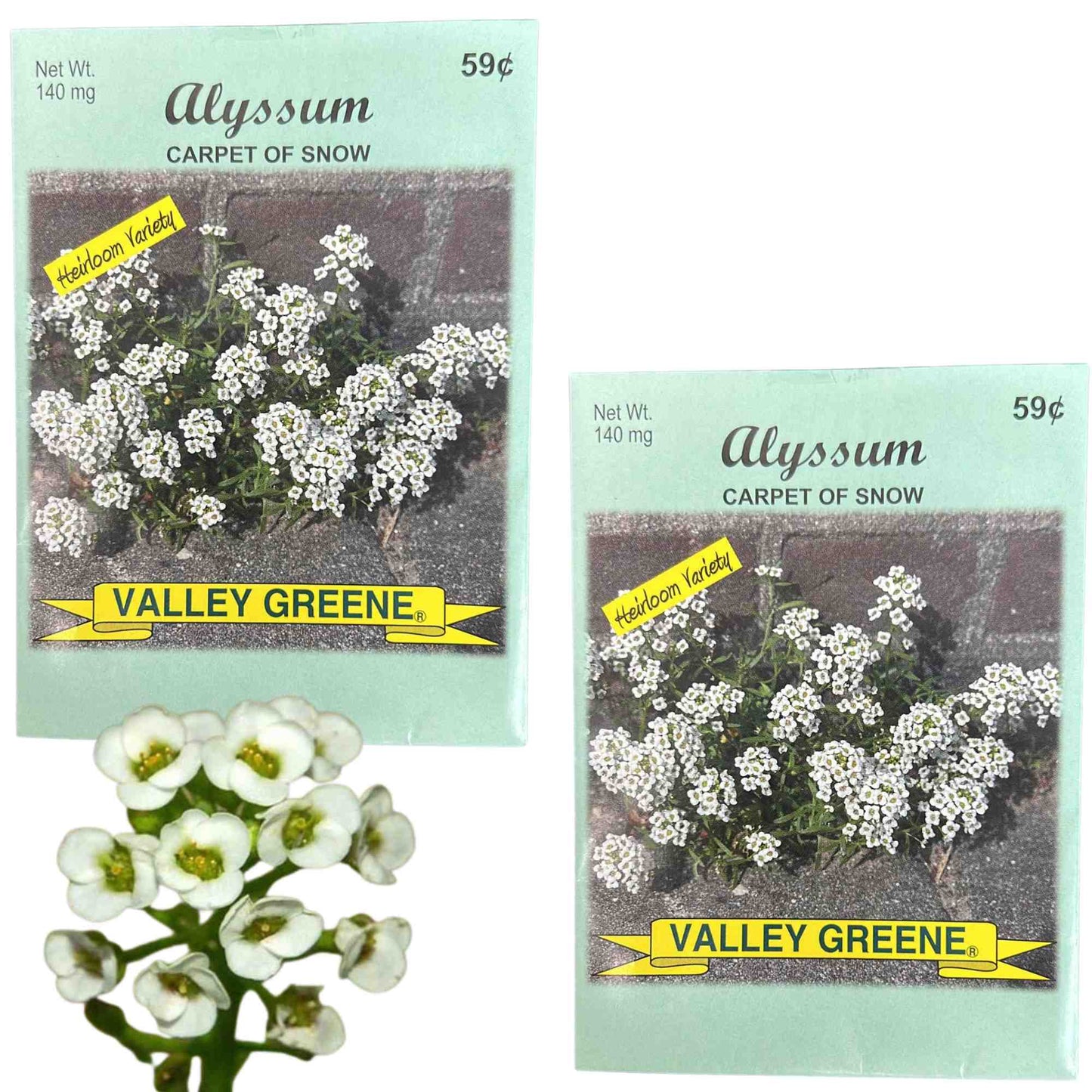 Valley Greene 140mg Alyssum Carpet of Snow Seeds 