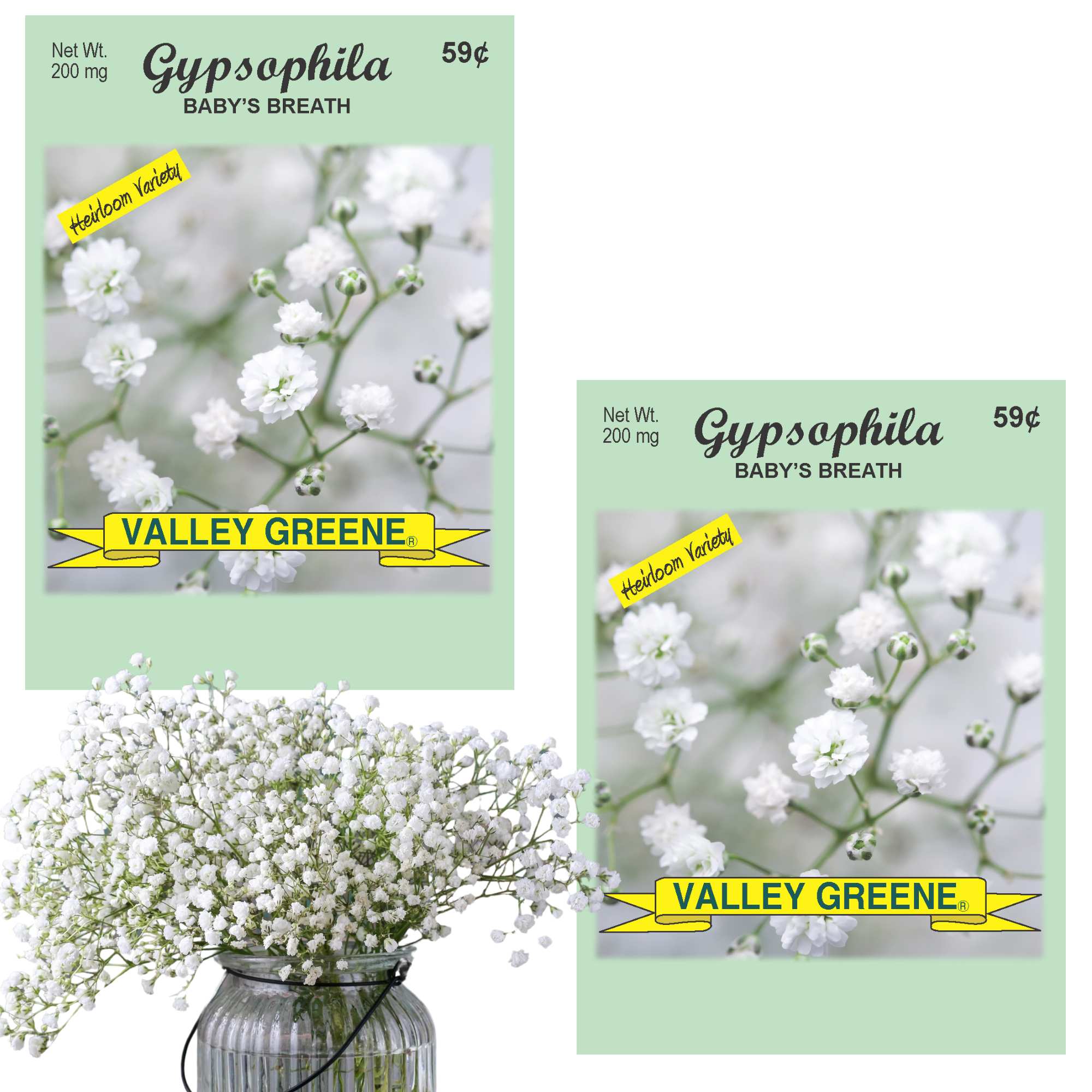 Valley Greene 200mg Gypsophila Baby's Breath Seeds: 2 Pack main product image