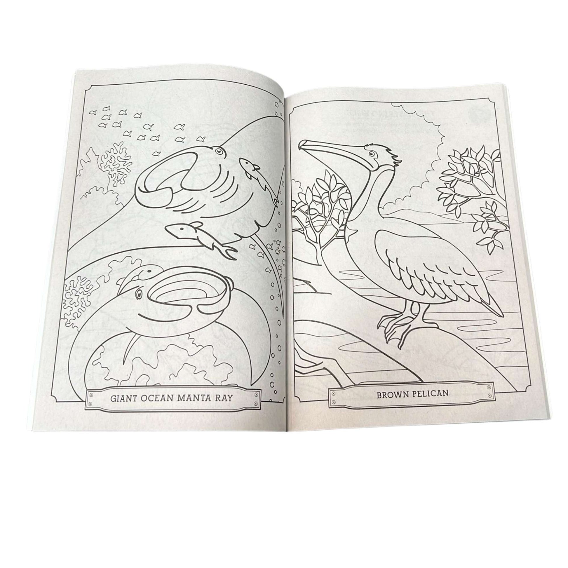 Wild Animal Kingdom Coloring & Activity Book – Kids Ages 4 to 8 Fun Learning Adventure Book